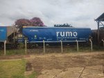 RUMO HTT-065639-9
